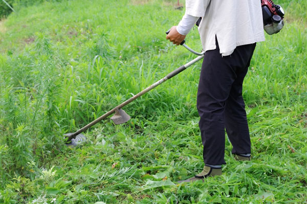 除草・剪定の手配