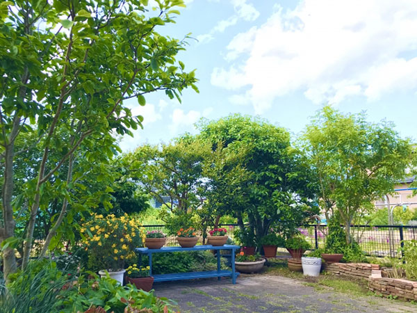 庭木・雑草等の確認